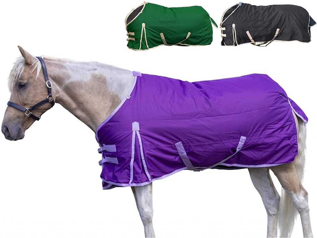 1. Derby Originals Classic Horse Turnout Blanket