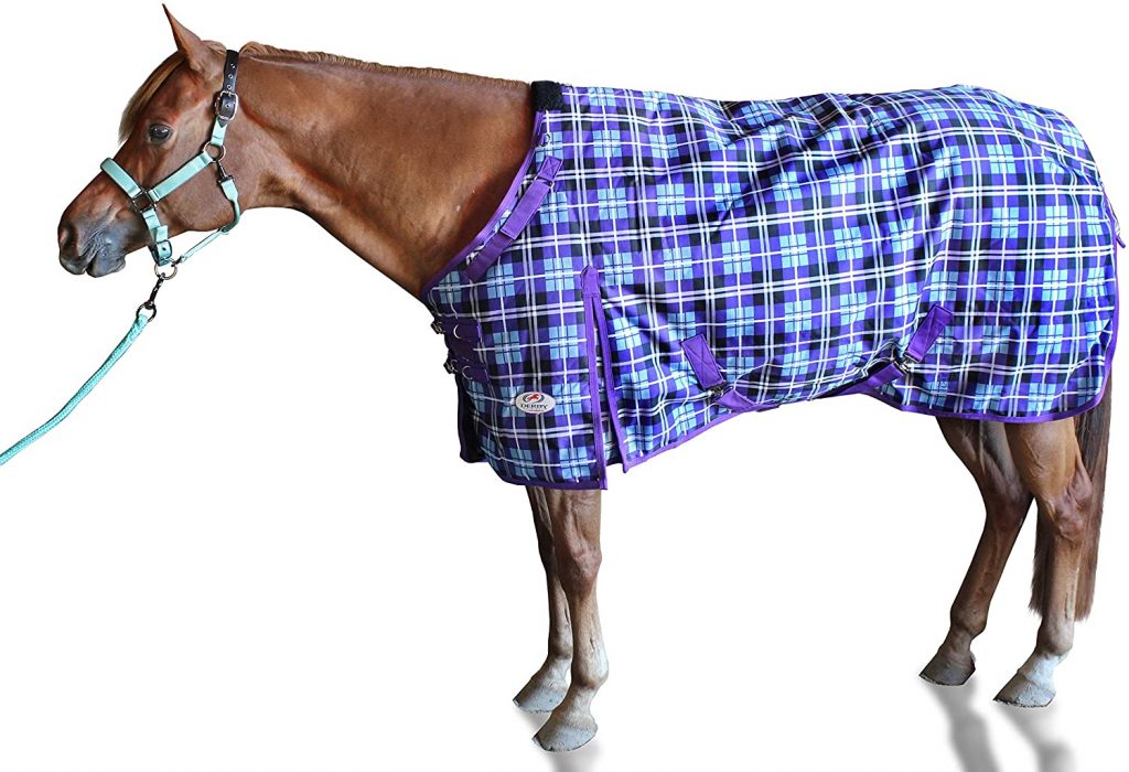 7. Derby Originals Horse Winter Turnout Blanket