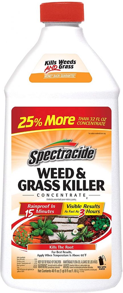 10. Spectracide Concentrate Weed & Grass Killer