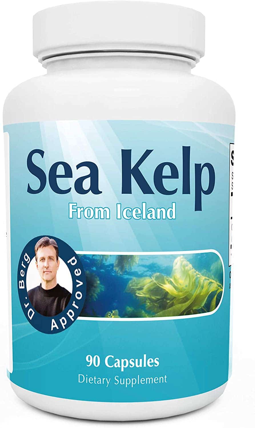 3. Dr. Berg's Icelandic Sea Kelp Supplement