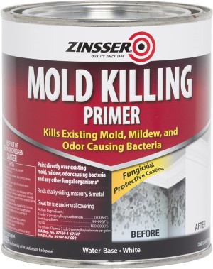 07. Rust-Oleum 276087 Mold Killing Primer Quart