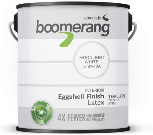 03. Boomerang Eco-Friendly Interior Paint